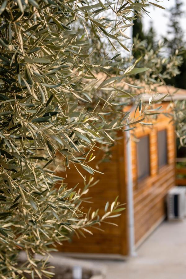 Agrelia Homes Dragano エクステリア 写真